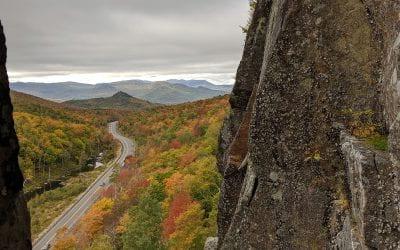 Editorial Board: Overcrowding in the ADK
